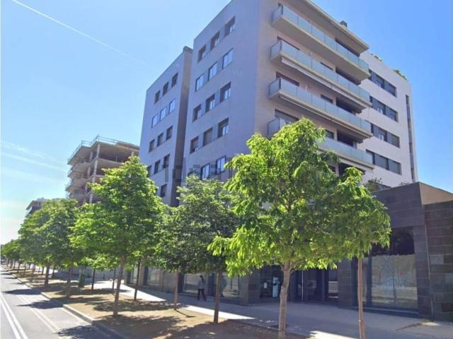 Local, Lleida