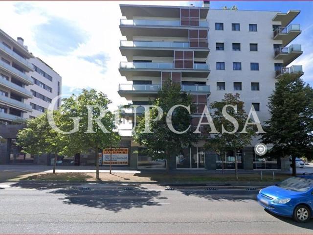 Local, Lleida