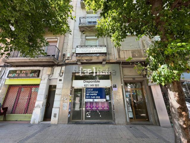 Local, Lleida