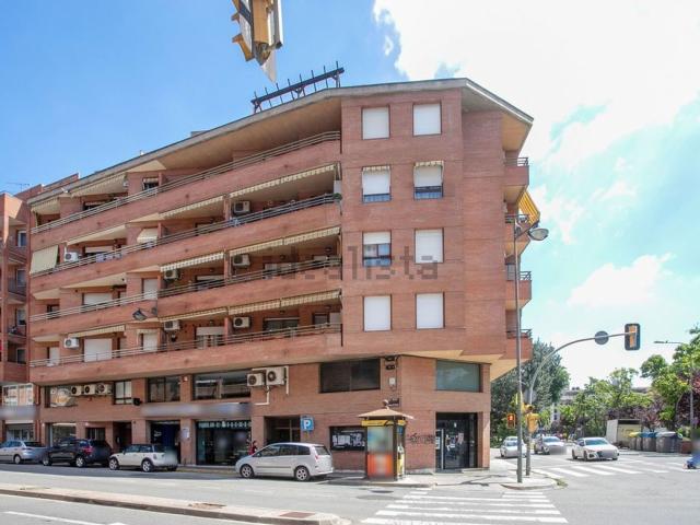 Local, Lleida