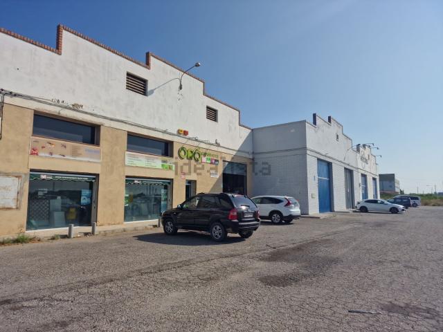 Local, Lleida
