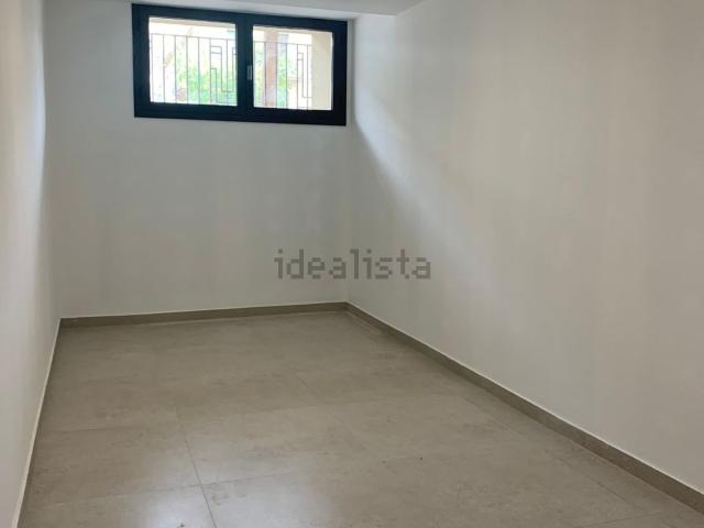 Local, Lleida