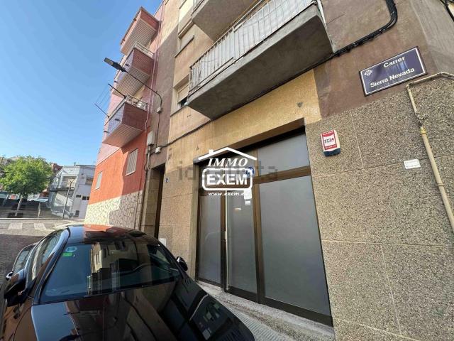Local, Lleida