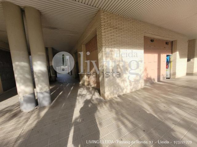 Local, Lleida