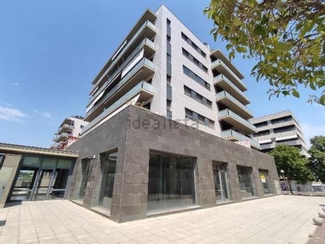 Local, Lleida
