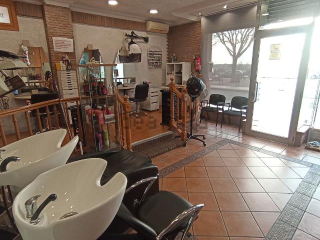 Local, Lleida