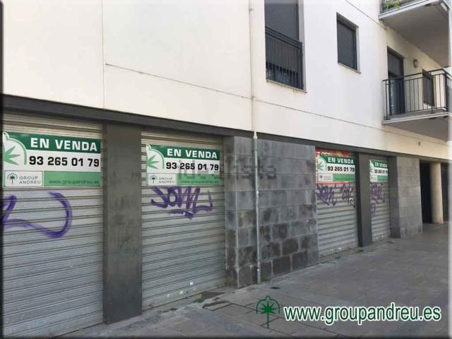 Local, Lleida