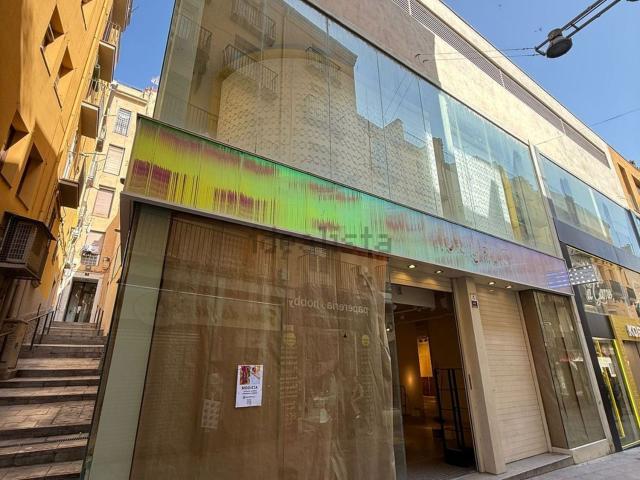 Local, Lleida