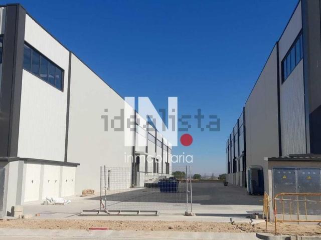 Local, Lleida