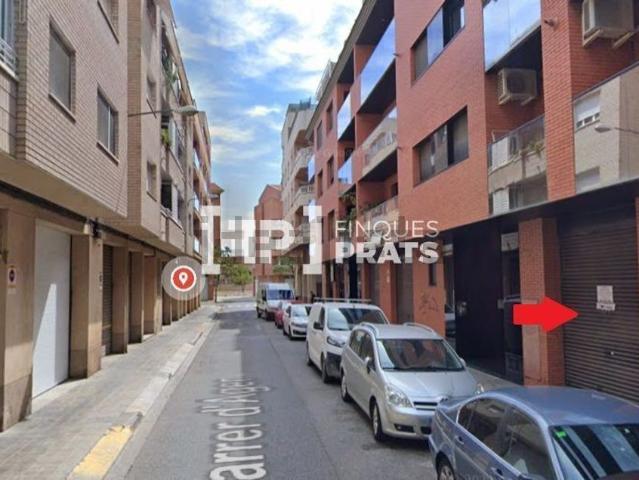 Local, Lleida