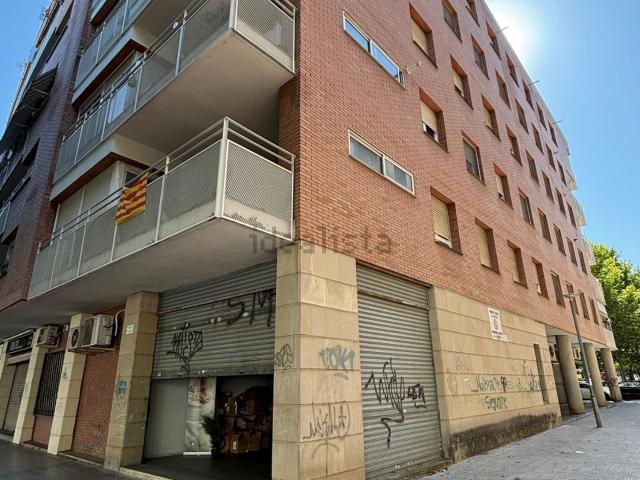 Local, Lleida