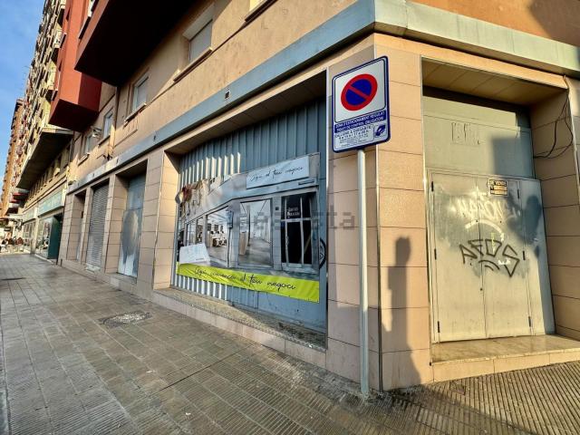 Local, Lleida