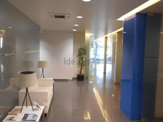 Local, Lleida