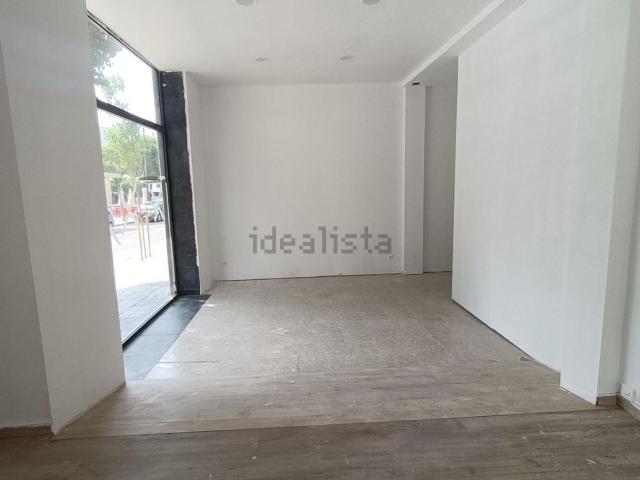 Local, Lleida