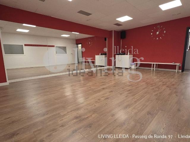 Local, Lleida