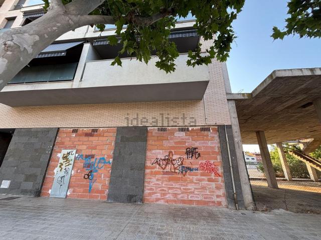 Local, Lleida