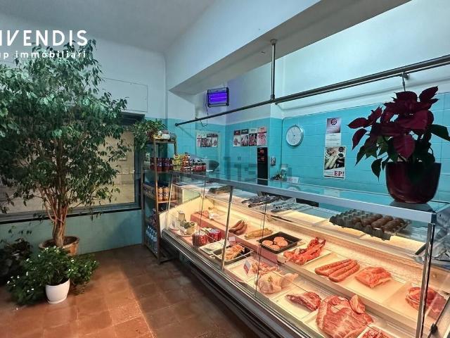 Local, Lleida