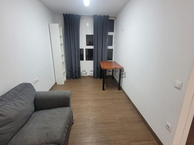 Local, Lleida