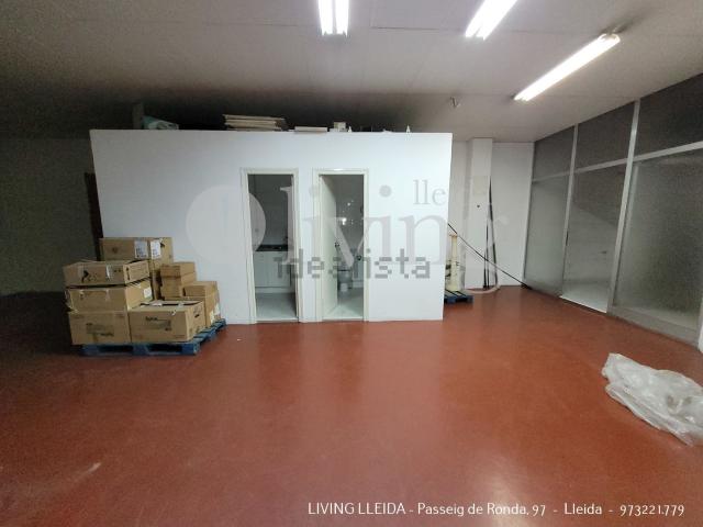 Local, Lleida