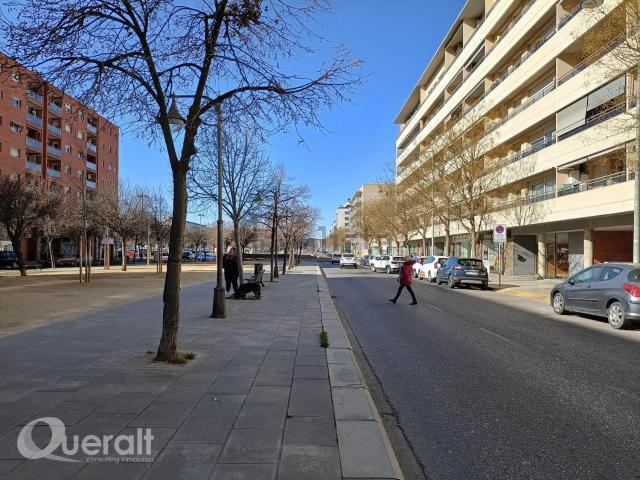 Local, Lleida