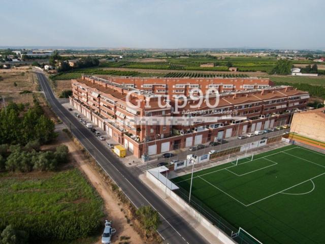 Local, Lleida