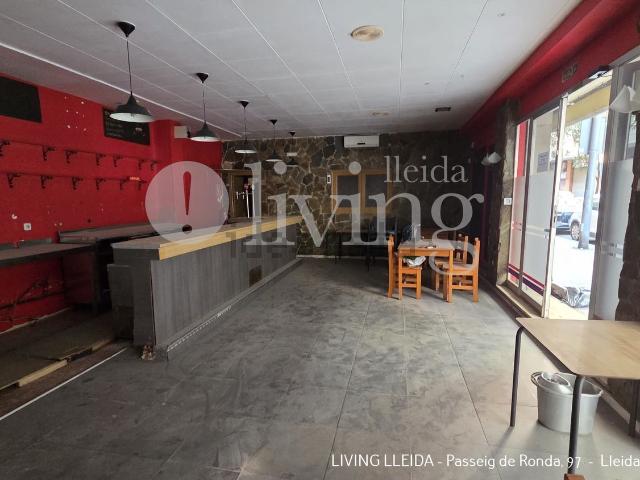 Local, Lleida