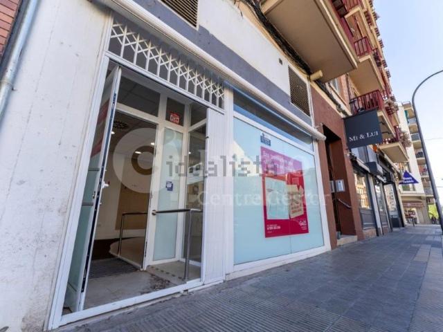 Local, Lleida