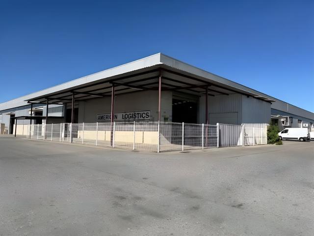 Local, Lleida