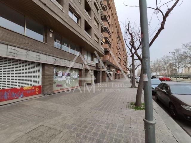 Local, Lleida