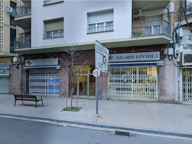 Local, Lleida