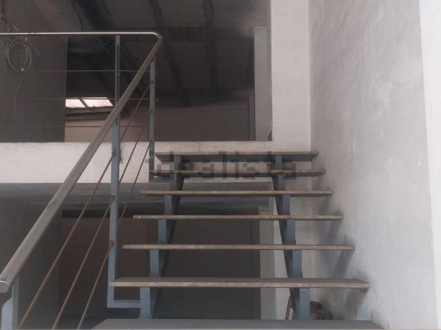 Local, Lleida