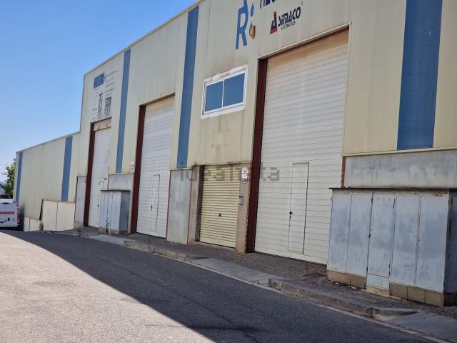 Local, Lleida