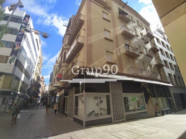 Local, Lleida