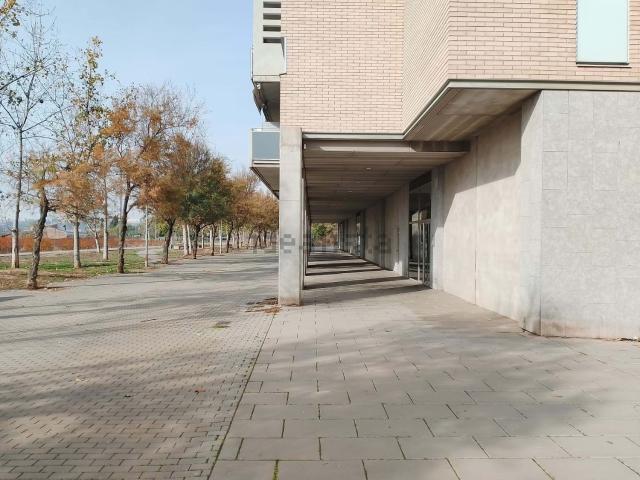 Local, Lleida