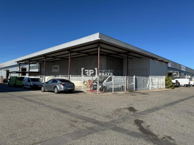 Local, Lleida