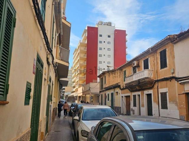 Local, Llucmajor