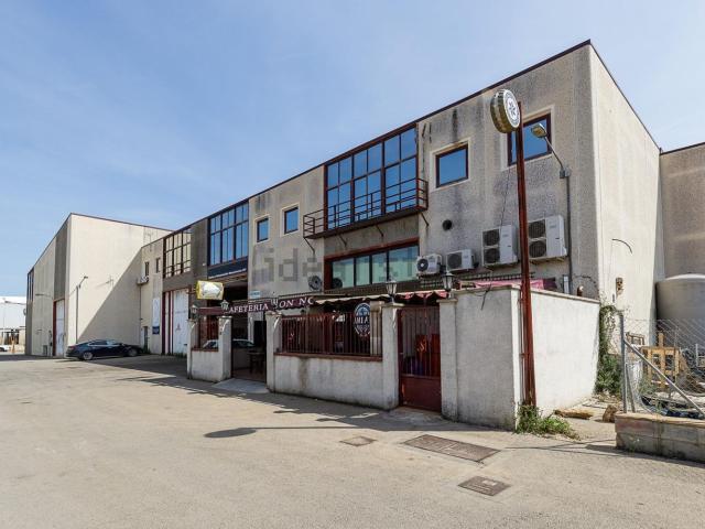 Local, Llucmajor