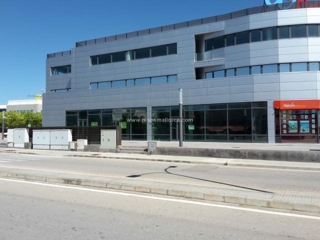 Local, Llucmajor