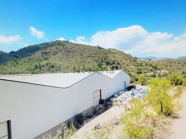 Local, Lucena del Cid