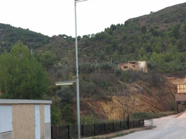 Local, Lucena del Cid