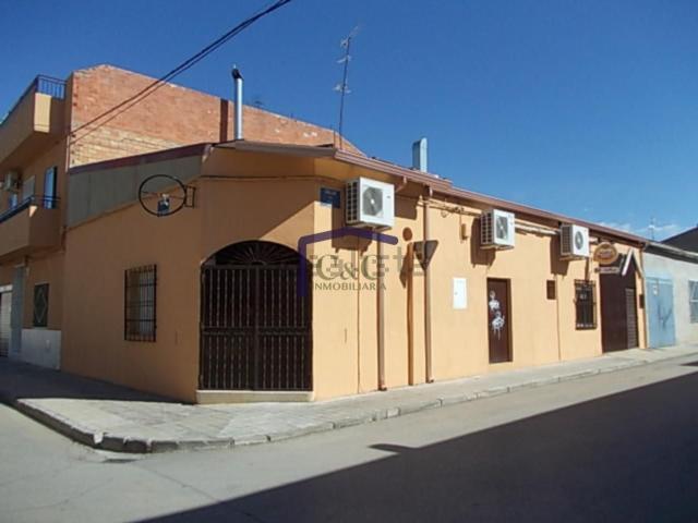 Local, Manzanares