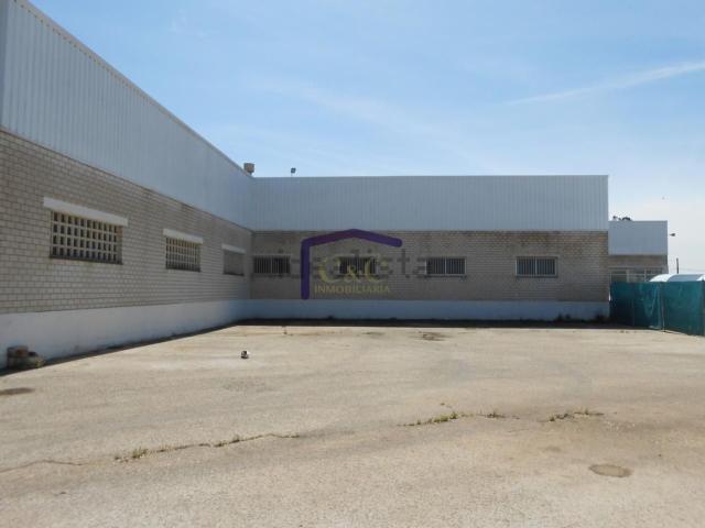 Local, Manzanares