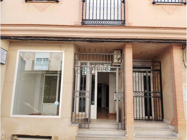 Local, Manzanares