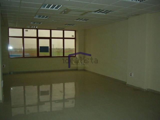 Local, Manzanares