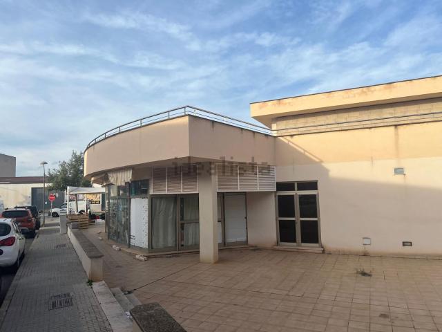 Local, Manacor