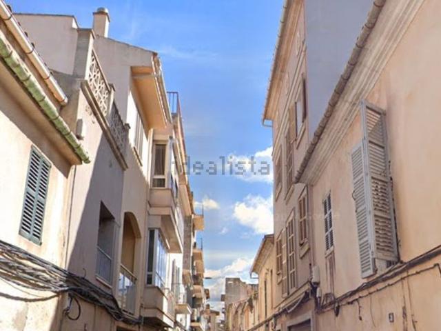 Local, Manacor