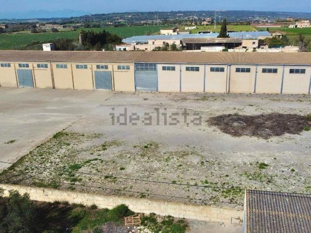 Local, Manacor