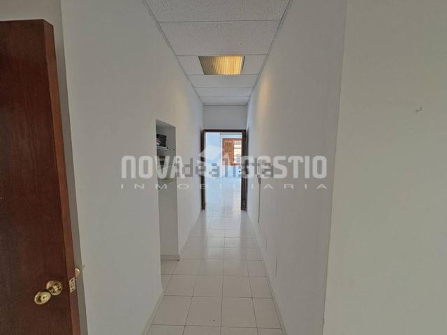 Local, Manacor