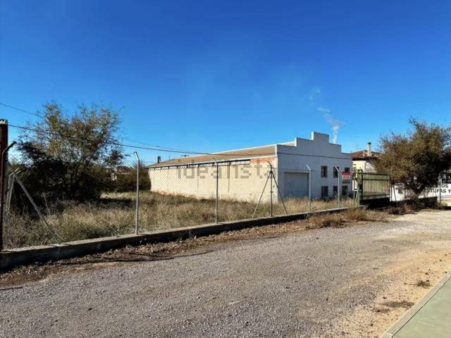 Local, Madridejos
