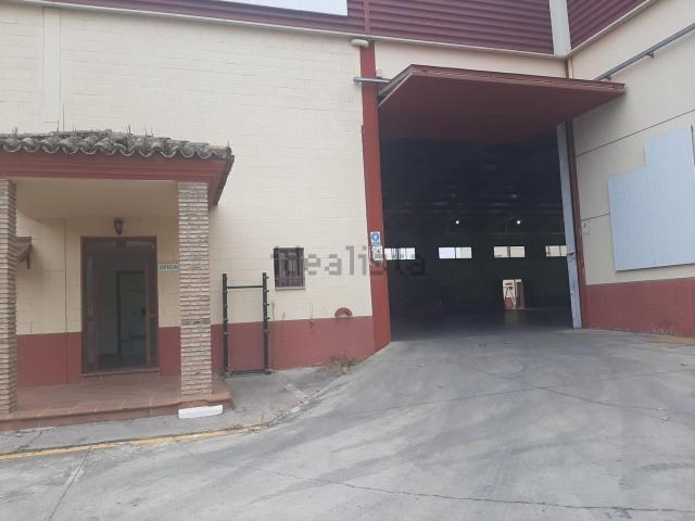 Local, Malpartida de Cáceres
